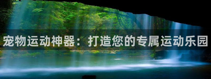 凯捷体育平台假的吗是真的吗：宠物运动神器：打造您的专