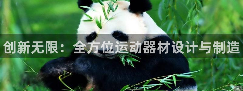 凯捷体育平台注册流程图：创新无限：全方位运动器材设计