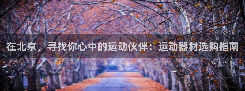 凯捷体育官方客服电话：在北京，寻找你心中的运动伙伴：