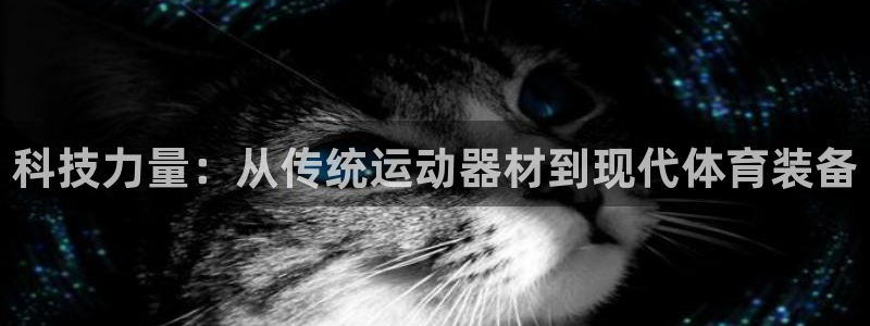凯捷体育娱乐网站：科技力量：从传统运动器材到现代体育