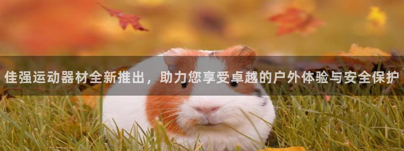 凯捷体育平台APP：佳强运动器材全新推出，助力您享受