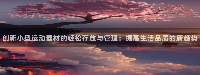 凯捷体育娱乐：创新小型运动器材的轻松存放与管理：提高