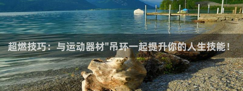 凯捷体育平台APP：超燃技巧：与运动器材\