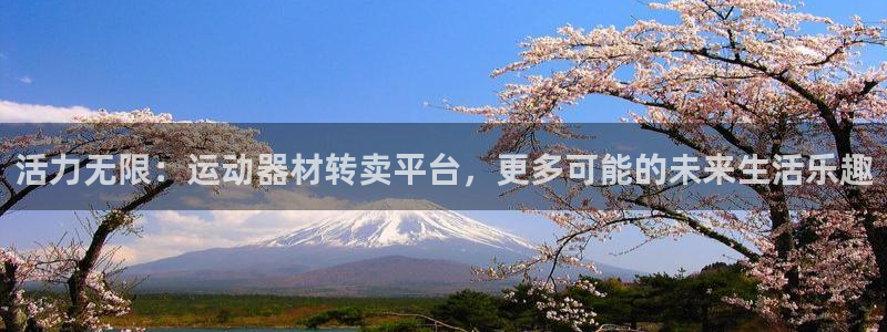 凯捷体育招商：活力无限：运动器材转卖平台，更多可能的