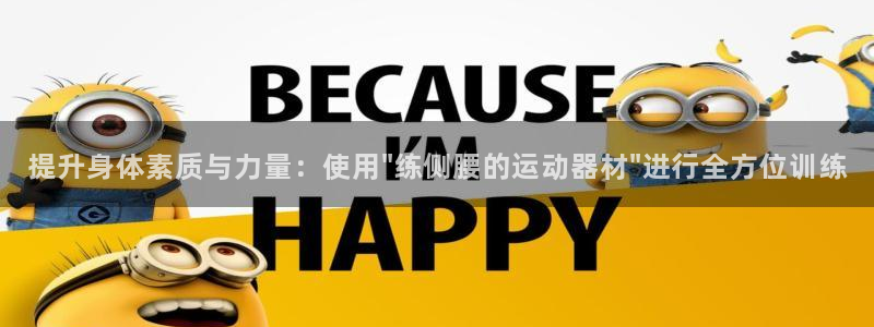 海南凯捷体育发展怎么样：提升身体素质与力量：使用\