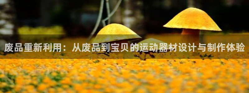 凯捷体育集团E.ON