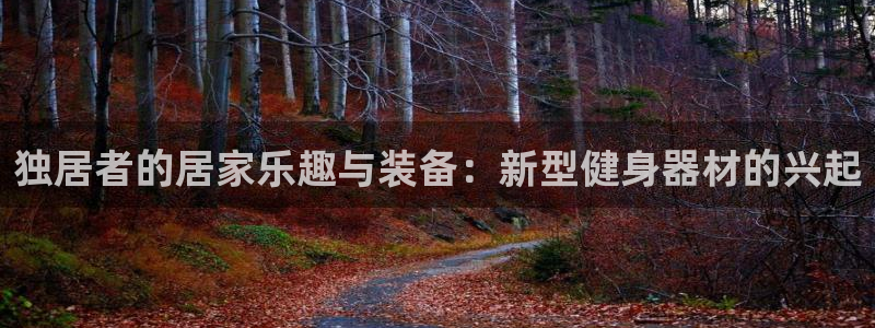 意昂集团官网：独居者的居家乐趣与装备：新型健身器材的