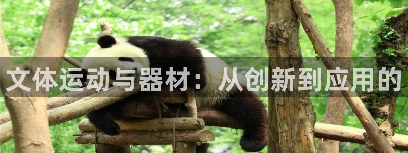 凯捷体育娱乐40996