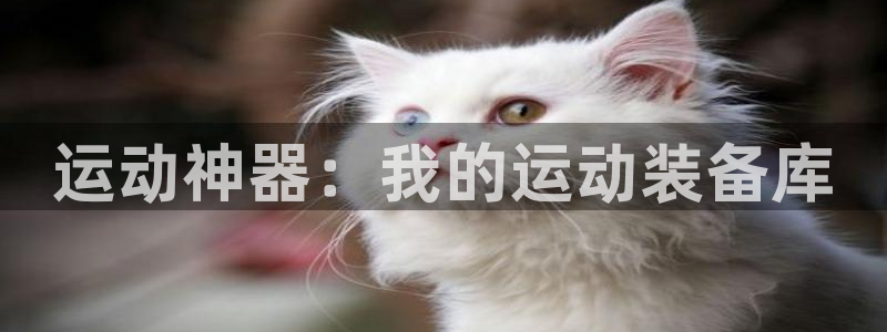 凯捷体育联系电话：运动神器：我的运动装备库