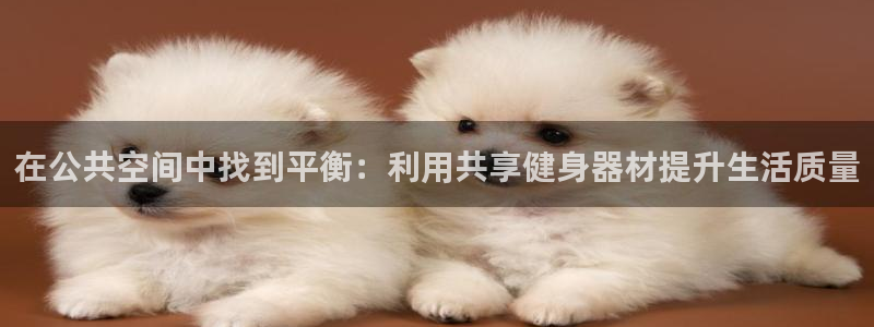 凯捷体育神州:在公共空间中找到平衡:利用共享健身器材提升生活