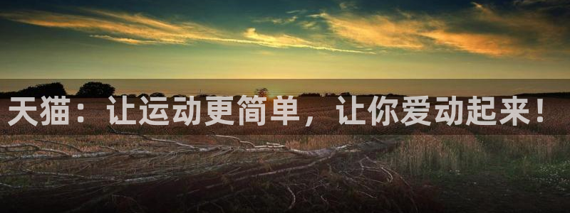 凯捷体育新能源：天猫：让运动更简单，让你爱动起来！