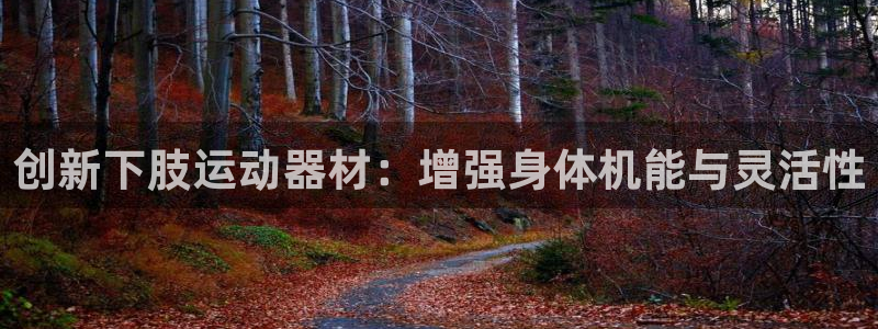 注册凯捷体育：创新下肢运动器材：增强身体机能与灵活性