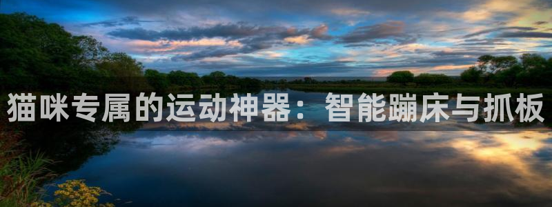 凯捷体育娱乐下载：猫咪专属的运动神器：智能蹦床与抓板