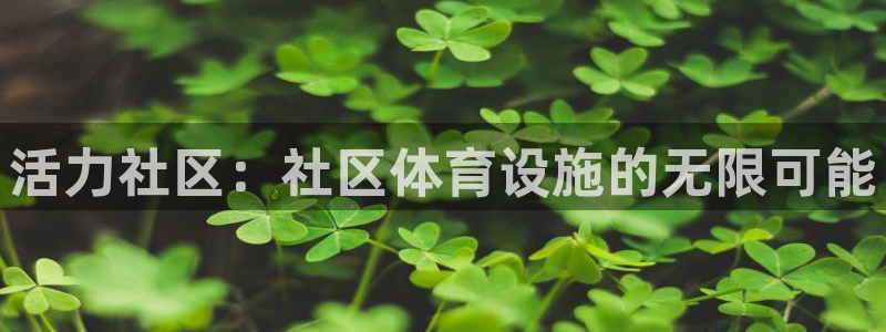 凯捷体育招商电话号码是多少号：活力社区：社区体育设施