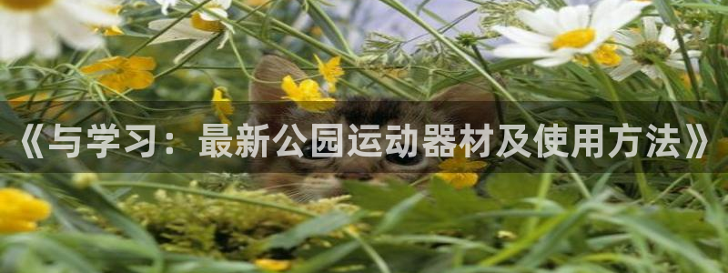 凯捷体育平台是正规平台吗：《与学习：最新公园运动器材