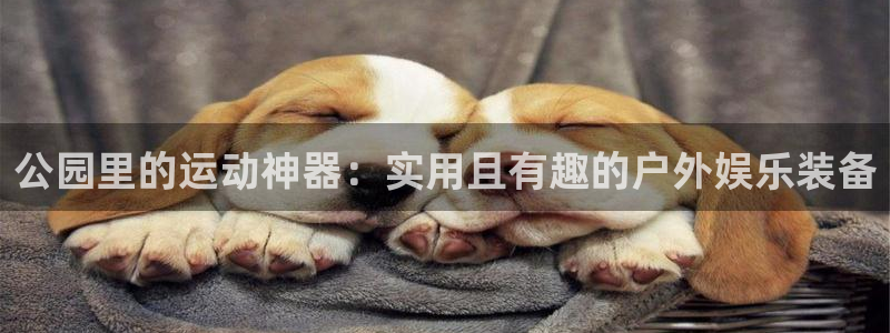 凯捷体育平台注册流程图：公园里的运动神器：实用且有趣