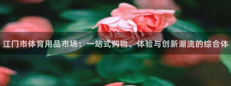 凯捷体育招商：江门市体育用品市场：一站式购物、体验与创新潮流