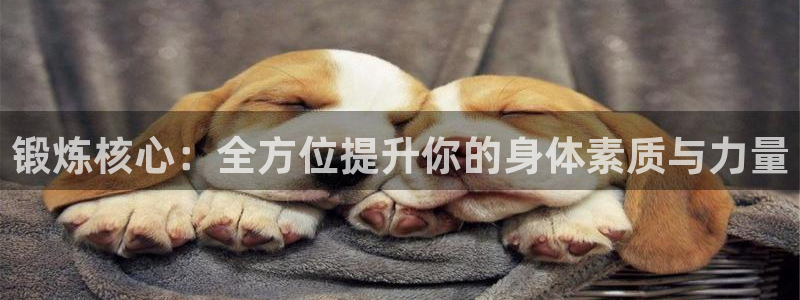 凯捷体育平台：锻炼核心：全方位提升你的身体素质与力量