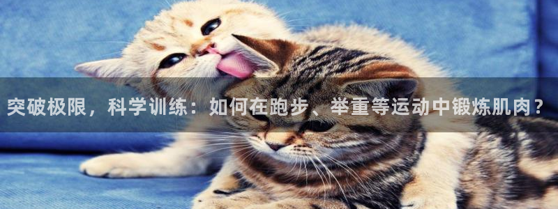 凯捷体育联系电话：突破极限，科学训练：如何在跑步、举