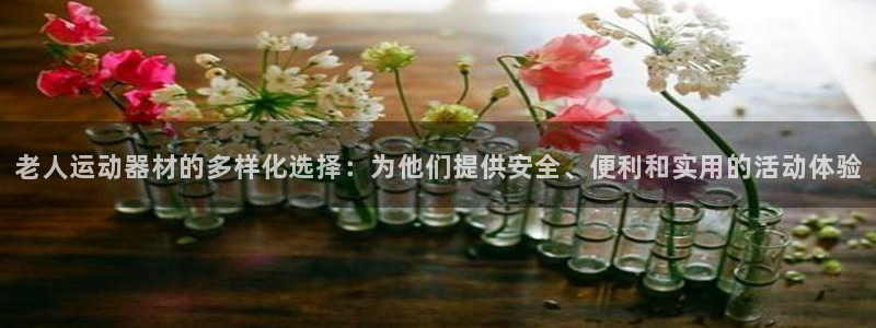 凯捷体育注册：老人运动器材的多样化选择：为他们提供安