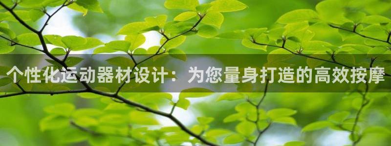 海南凯捷体育发展怎么样：个性化运动器材设计：为您量身
