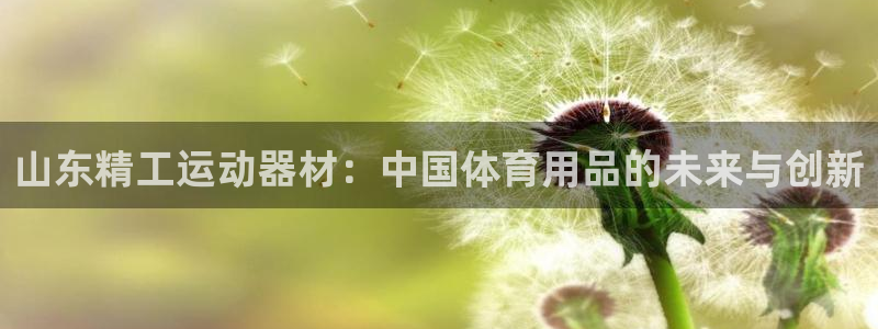 意昂集团官网：山东精工运动器材：中国体育用品的未来与