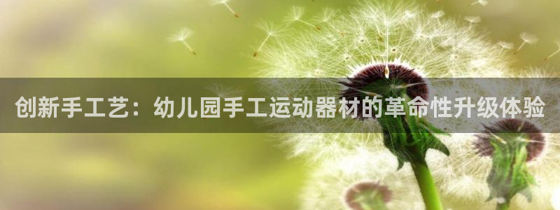 凯捷体育招商电话号码查询：创新手工艺：幼儿园手工运动器材的革