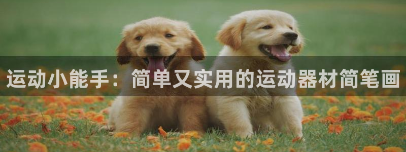 凯捷体育集团logo：运动小能手：简单又实用的运动器材简笔画