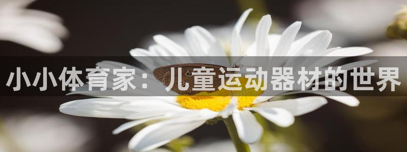 凯捷体育平台是正规平台吗安全吗：小小体育家：儿童运动器材的世