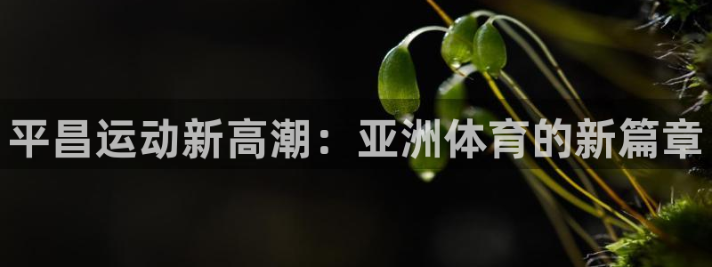 凯捷体育招商电话地址：平昌运动新高潮：亚洲体育的新篇章